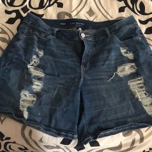 Lane Bryant Distressed Jean Shorts